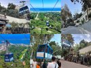 collage(2).jpg