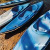 honolulubeachclub_1755972221891.jpeg