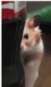 watching-you-291-x-498-gif-b64zh8nwp8wwtcbo.gif