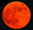 1757272383521.png