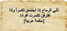 1757577564887.png