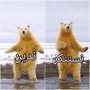 1757935169745.png