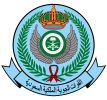 Royal_Saudi_Air_Force_embelm.svg.png