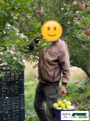 imageonline-co-emojiadded (6).png