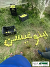 imageonline-co-emojiadded (2).png