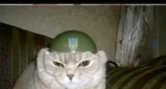 IMG_9121.jpeg