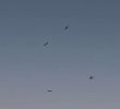 IMG_5032.jpeg