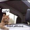 IMG_6343.jpeg