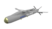 tolun_iir_dekupe-(1).png