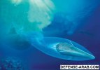 SCI2001b17N11-12_H08_001590.jpg