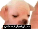 1779131580951.png