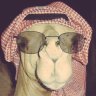 abdull