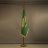 DIVX_702
