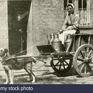 milkwoman-on-her-morning-round-with-a-dog-drawn-cart-belgium-RJB6PF.jpg