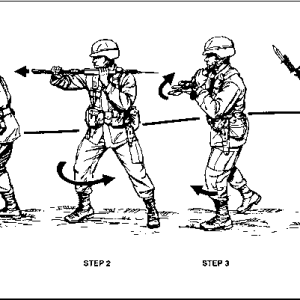 4259_8_43-bayonet-attack-position.png