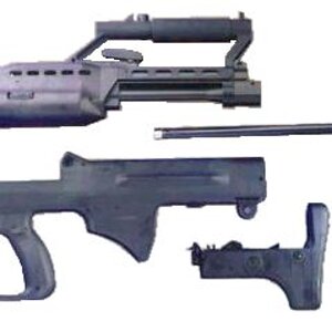 sar21_s.jpg