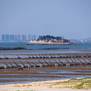 遍布反登陆桩的上林海滩_-_Anti-landing_Spikes_on_Shanglin_Coast_-_2014.09_-_panoramio.jpg