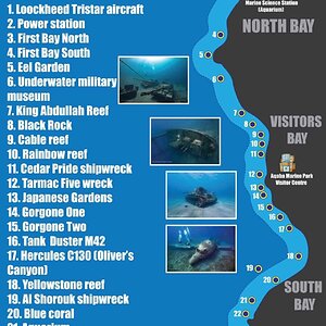 Dive-sites-map-1-1.jpg