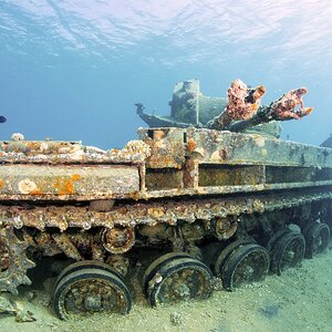 tank wreck red sea.jpg