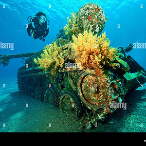 scuttled-tank-dive-site-seven-sisters-aqaba-jordan-red-sea-minor-asia-R4AXGJ.jpg