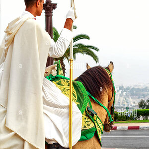 montent-la-garde-royale-a-cheval-arabe-sur-la-tour-hassan-et-le-mausolee-de-mohammed-v-hj6h59.jpg