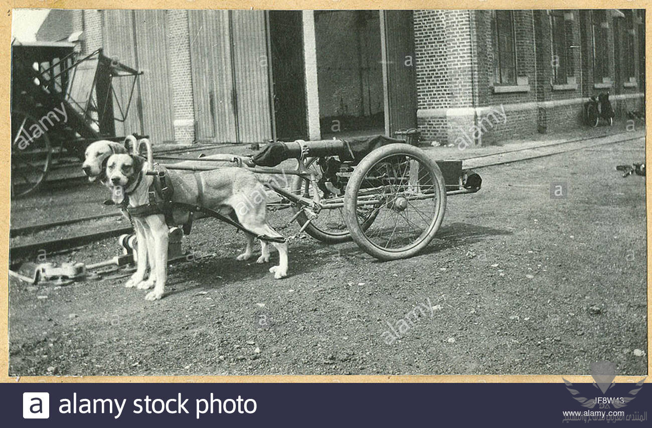 maxim-mitrailleur-van-het-7de-linieregiment-maxim-machine-gun-32543762871-JF8W43.jpg