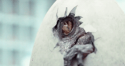 1714421160730.gif