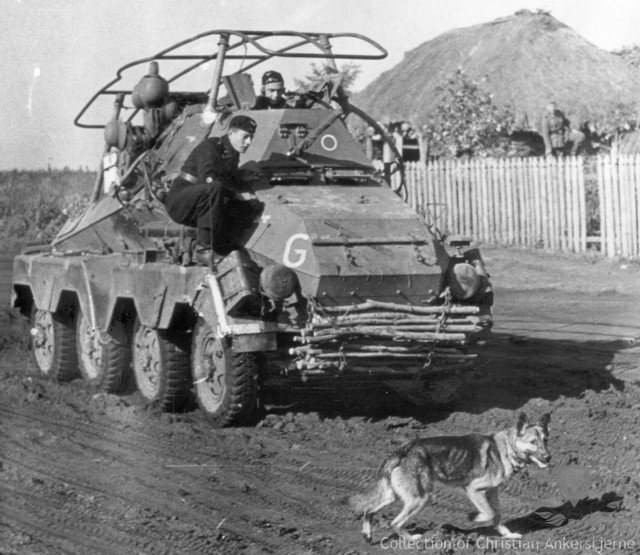 Liberated+Soviet+antitank+dog.jpg