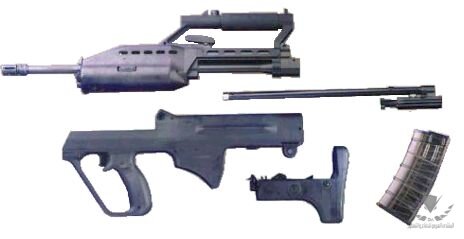 sar21_s.jpg