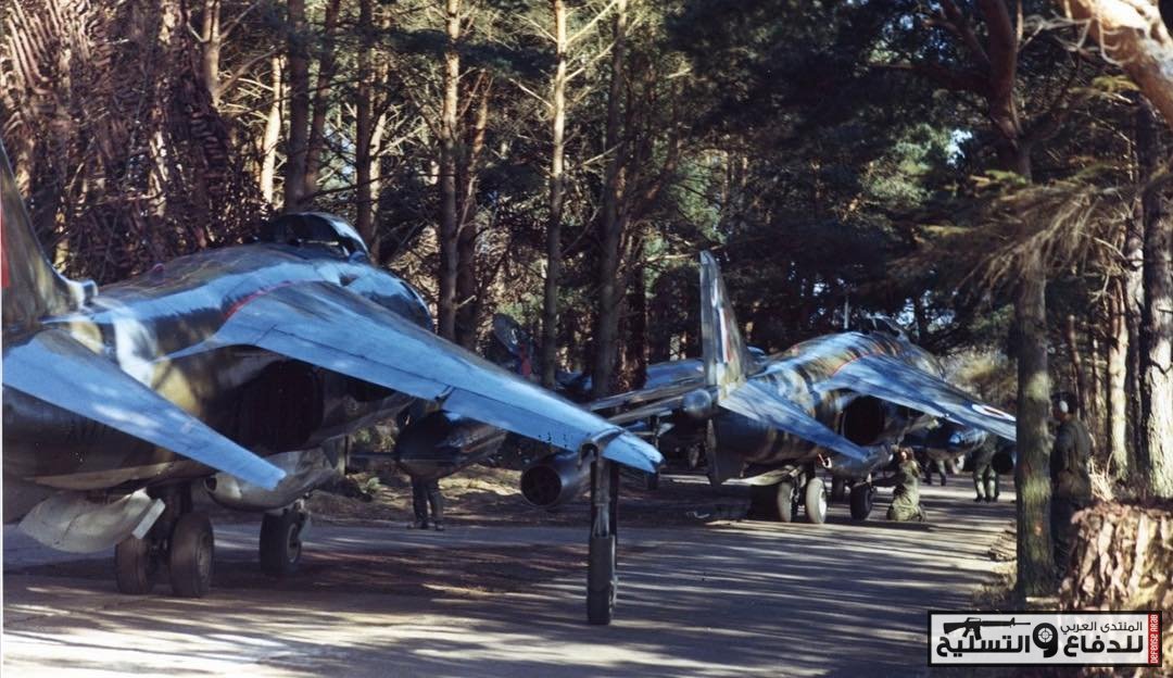 الهارير AV-8 البريطانية في الغابات
