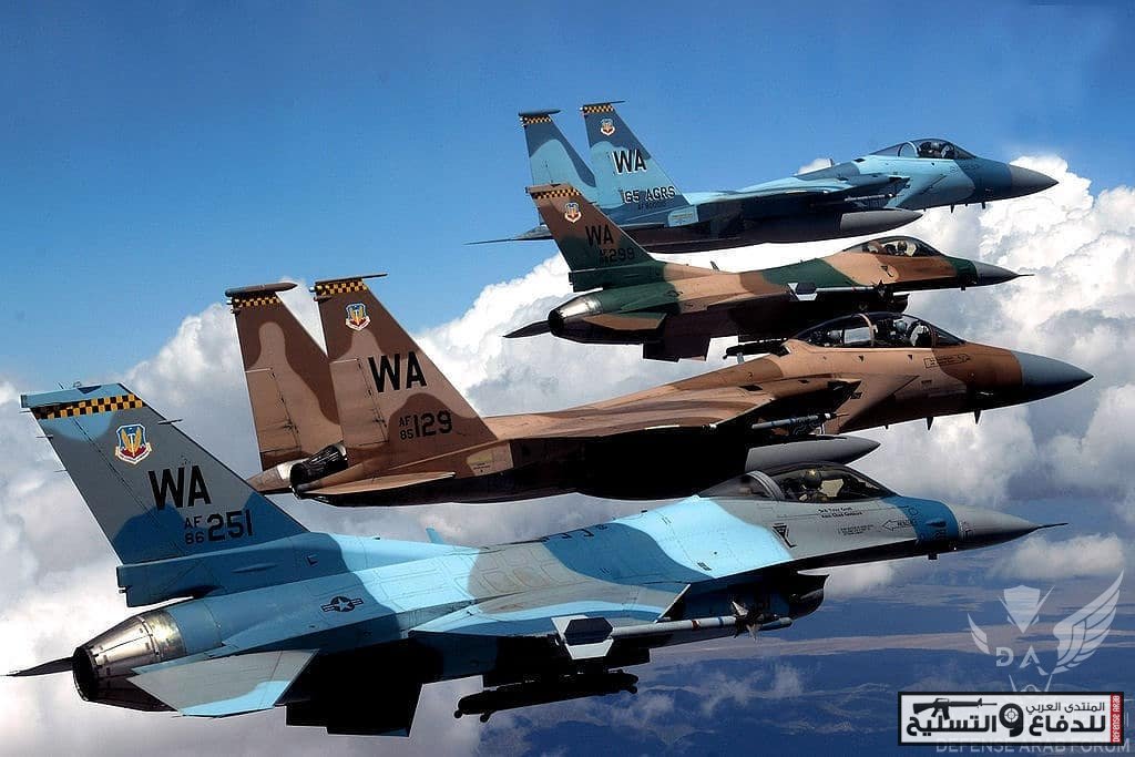 Aggressor squadron السرب العدواني