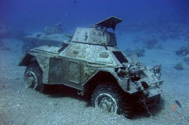 underwater-ferret-armoured-car-in-aqaba-red-sea-jordan.jpg