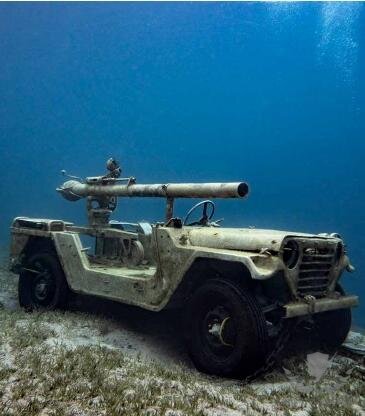 10.-Willys-MB-The-Jeep..jpg