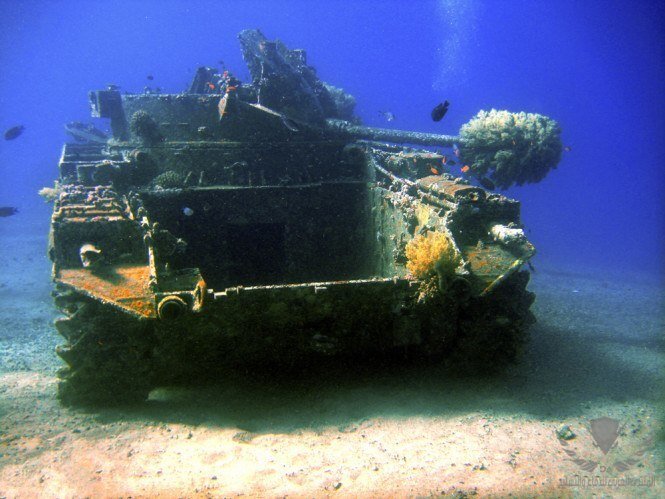 tank-wreck-diving-i-jordan.jpg