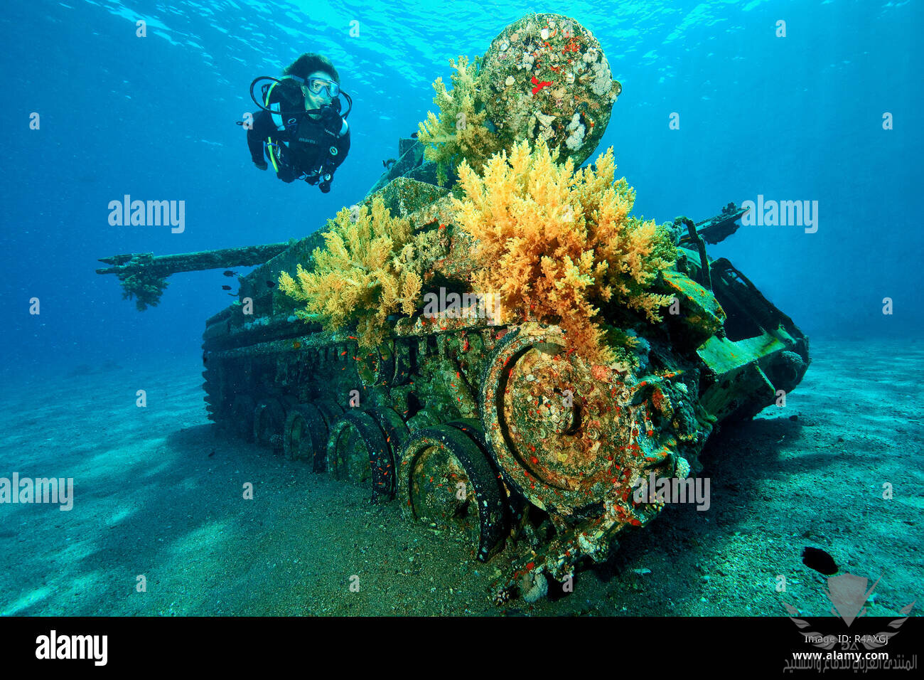 scuttled-tank-dive-site-seven-sisters-aqaba-jordan-red-sea-minor-asia-R4AXGJ.jpg