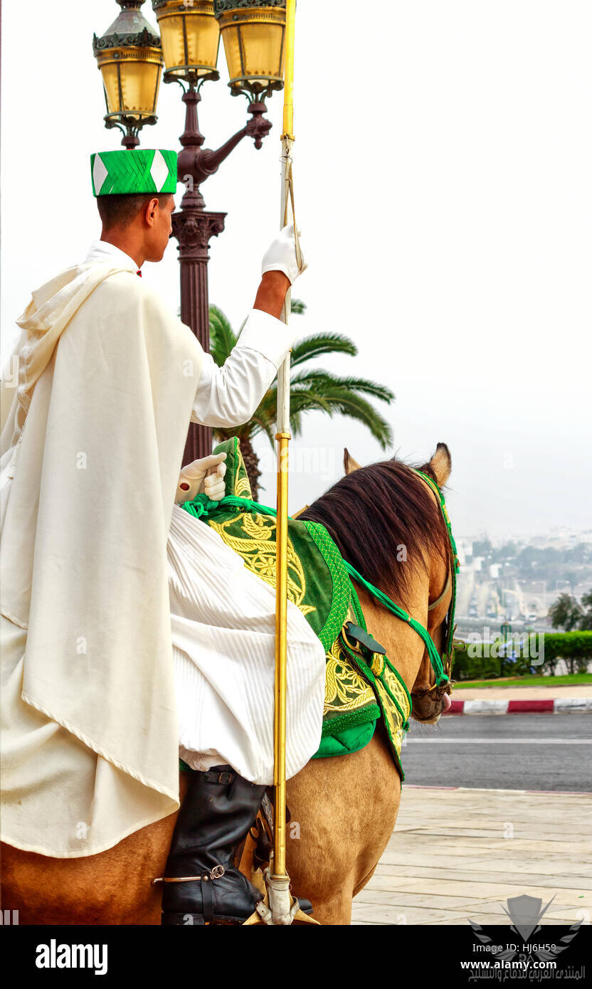 montent-la-garde-royale-a-cheval-arabe-sur-la-tour-hassan-et-le-mausolee-de-mohammed-v-hj6h59.jpg