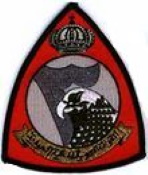 3sqn.jpg