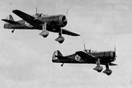 Fokker_D.XXI.jpg