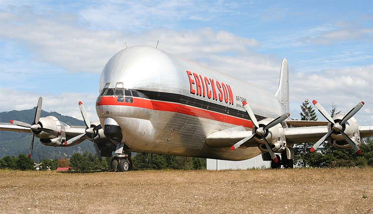 b377sg-5.jpg