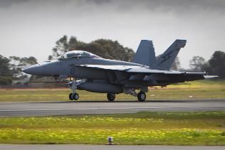 520975-hornet.jpg