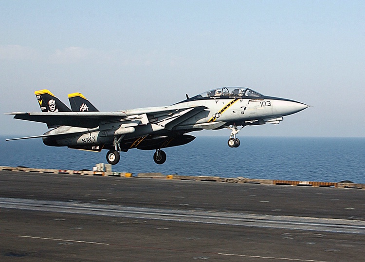 f-14_11.jpg