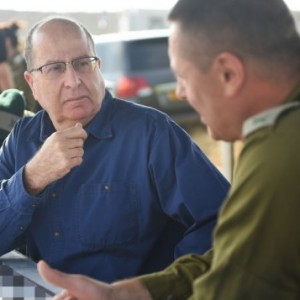 ar.timesofisrael.com