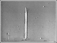 r5m_launch_2.jpg