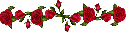 993660wvwo82jpus.gif