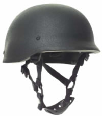 fig1.jpg