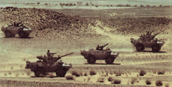 Saudi_V-150%20Commando%20%28f%29.jpg