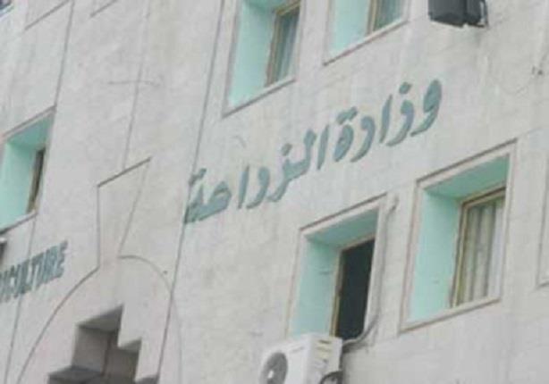 www.masrawy.com
