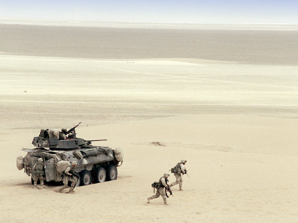 lav25.jpg