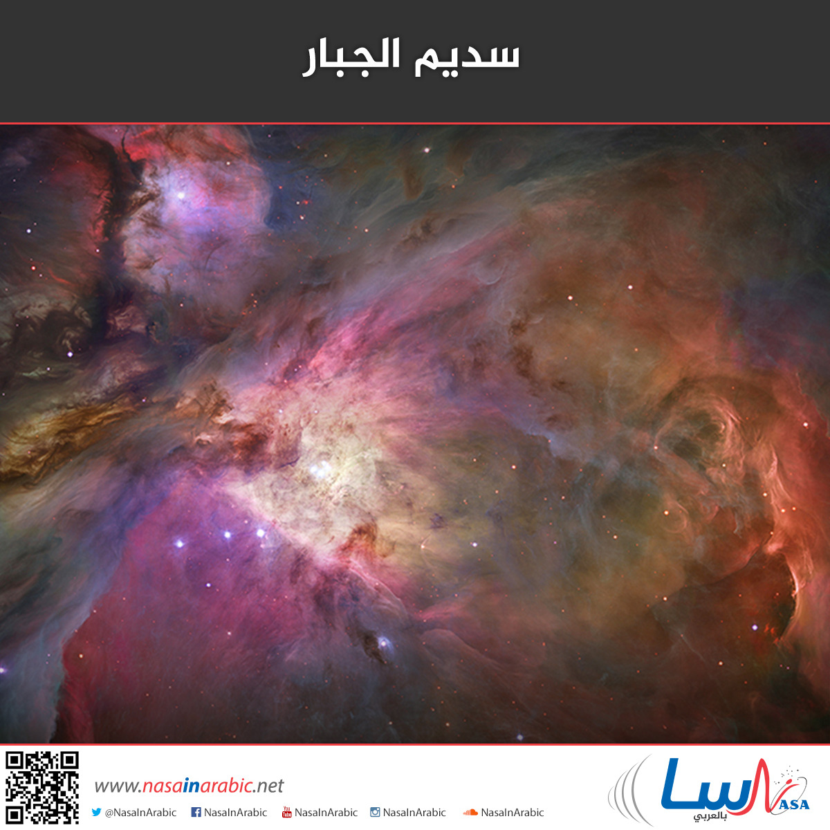 9a8a77ddc95e2dc692a68aff9e8f00f7.jpg