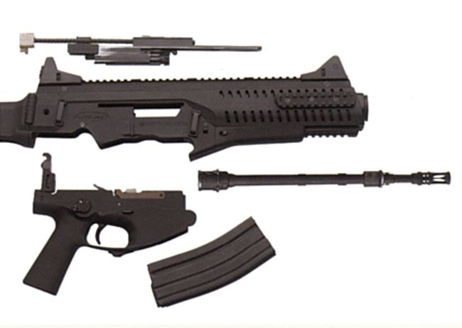 beretta_arx160-disasm.jpg